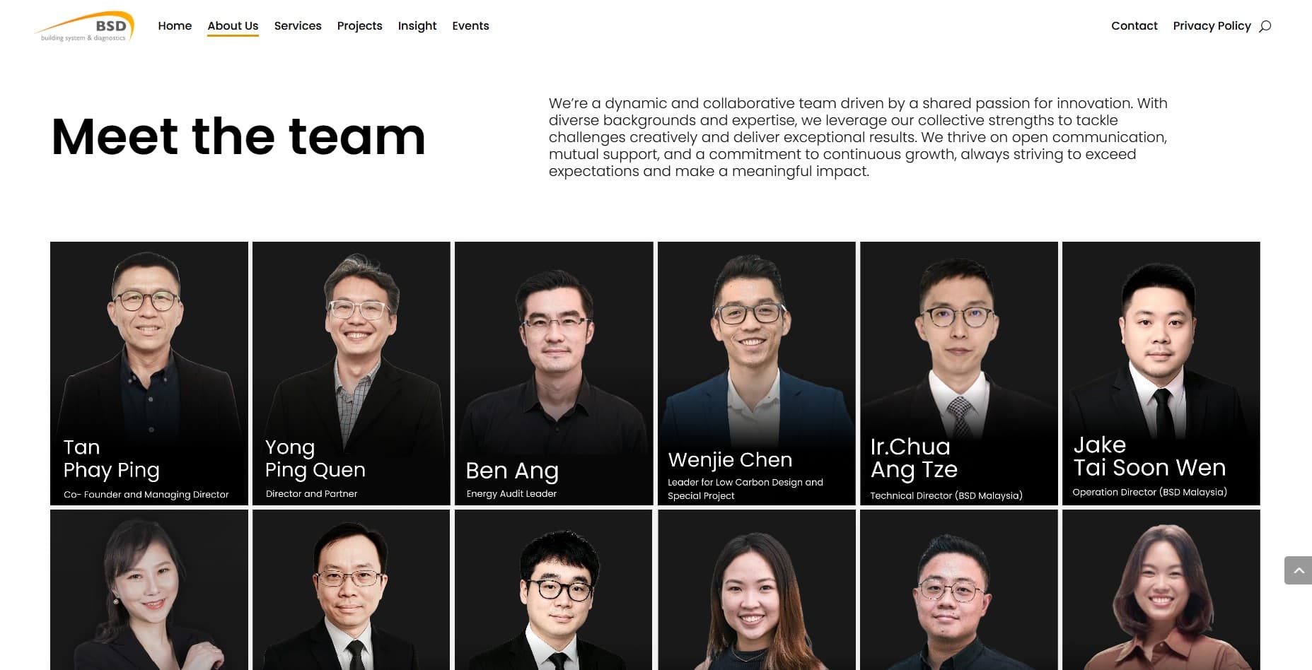 BSD Building Diagnostics screenshot 2
